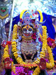 फोटो/वीडियो गैलरी 26 Maa Kripa Jyotish Pujan Path Image gallery image